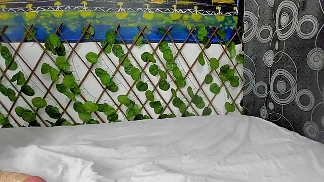 Snapshot of ANEVANS2 chatting on 01.13.25 ANEVANS2 online show from 01.13.25