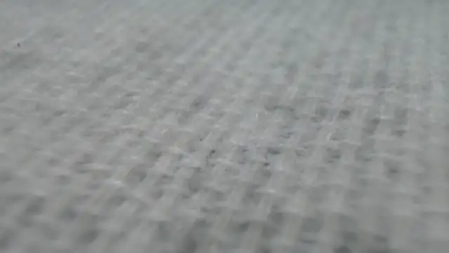  Zooee online show from 01.27.25