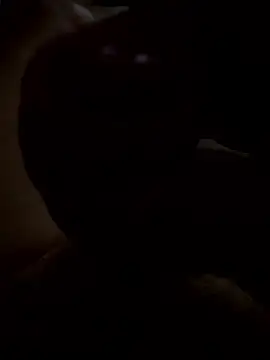 rusken123 online show from 01.15.26