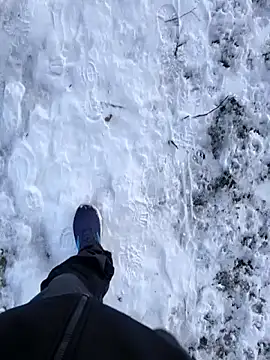 OdinWolf1990 online show from 01.10.26