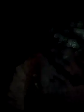 lit702 online show from 04.06.26