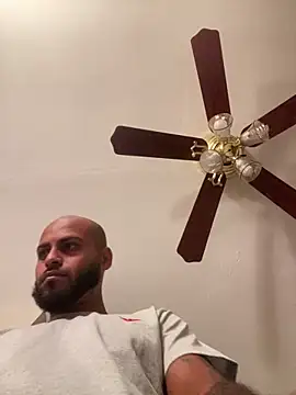 islandvybee55 online show from 03.02.26