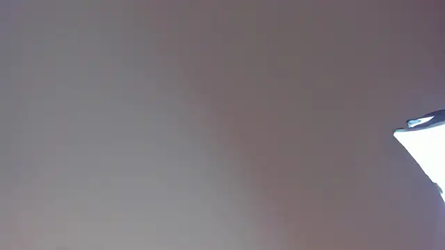 Laurent Williams online show from 12.28.24