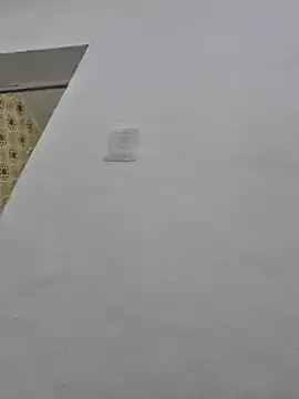 loiraodanadinha online show from 12.11.24