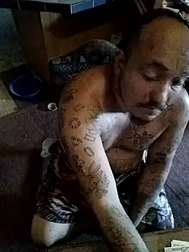 wilsons12 online show from 10.03.25