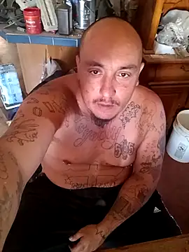 wilsons12 online show from 11.07.25