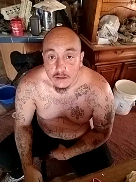 wilsons12 online show from 11.08.25