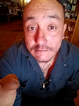 wilsons12 online show from 02.01.26