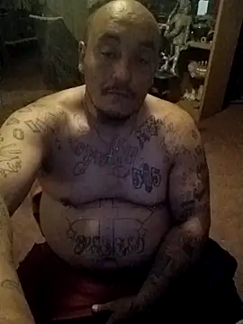 wilsons12 online show from 03.27.26