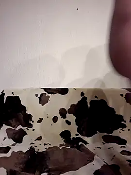 Zgodanilep online show from 10.11.25