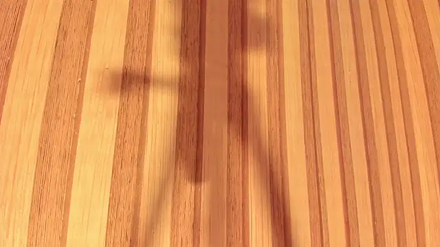 Daisy  rose online show from 02.22.25