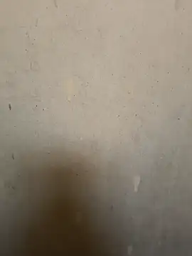 loveme99004 online show from 02.16.26