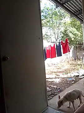 Andresguz35 online show from 02.08.26