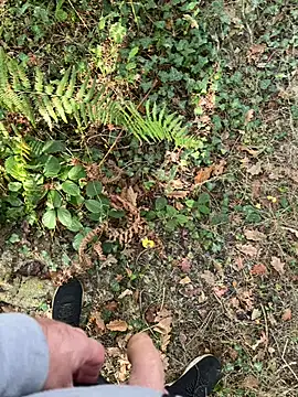 mj23641 online show from 09.27.25