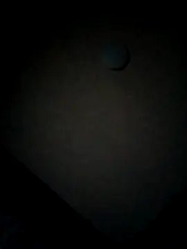 minitranca online show from 02.12.26