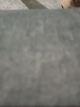 strip 1212 online show from 03.26.26