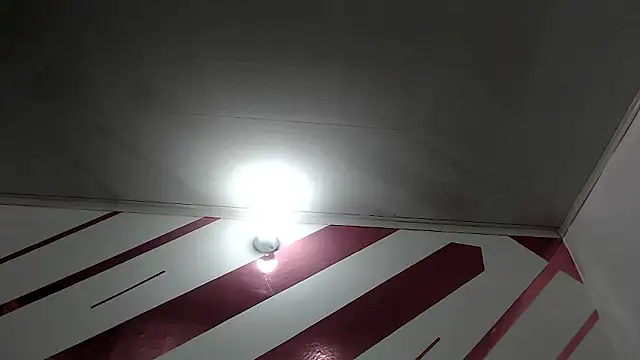 Kitten Hot  online show from 01.10.26