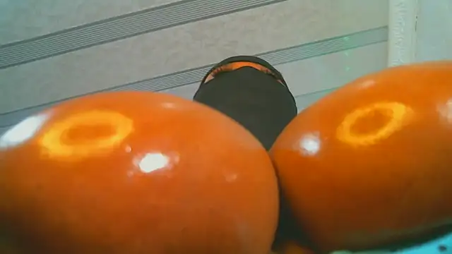 XPanther 24 online show from 02.02.25