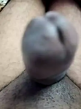 dick 01728 online show from 01.19.25