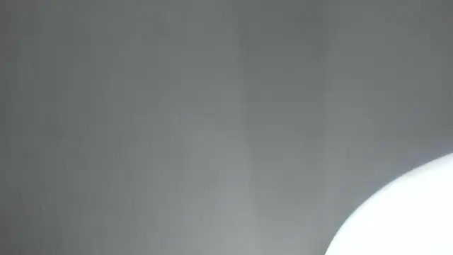 PandoraRider online show from 04.16.26