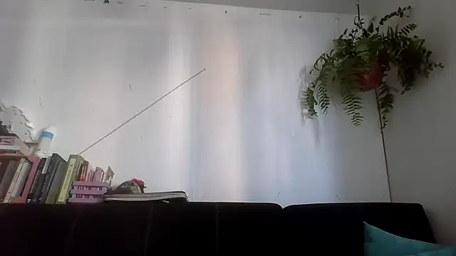 Tiramisu89 online show from 02.08.26