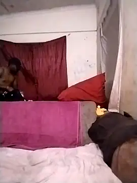 Polygamist online show from 09.12.25