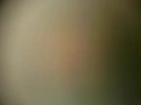 Snapshot of TheSweetBerry chatting on 03.28.26 TheSweetBerry online show from 03.28.26