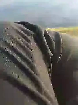 Snapshot of hexsmith96 chatting on 12.18.24 hexsmith96 online show from 12.18.24