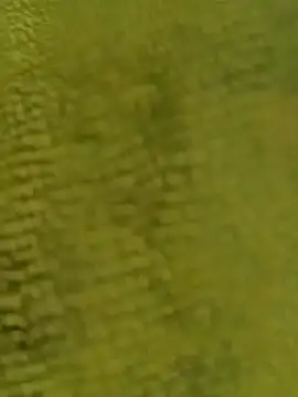 sadunt online show from 12.17.25