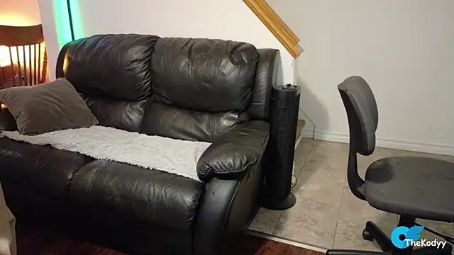 Thekodyy online show from 03.04.26