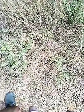 Mrveda66 online show from 02.23.26