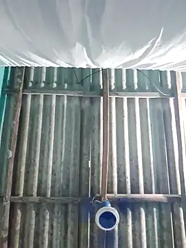 hotbaby 5 online show from 10.28.25