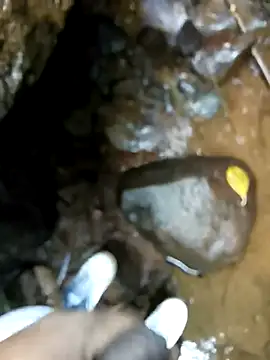 dpkpaksudda online show from 09.24.25