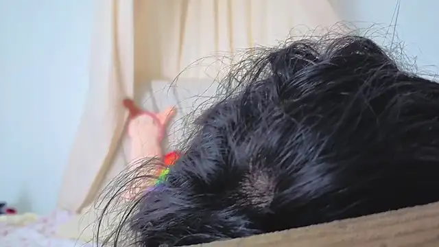 Katiaflex online show from 03.02.26