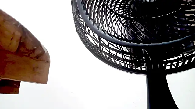 PetiteIvoryQueen19 online show from 02.14.26