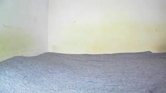 Snapshot of fern_tlk chatting on 01.19.25 fern tlk online show from 01.19.25