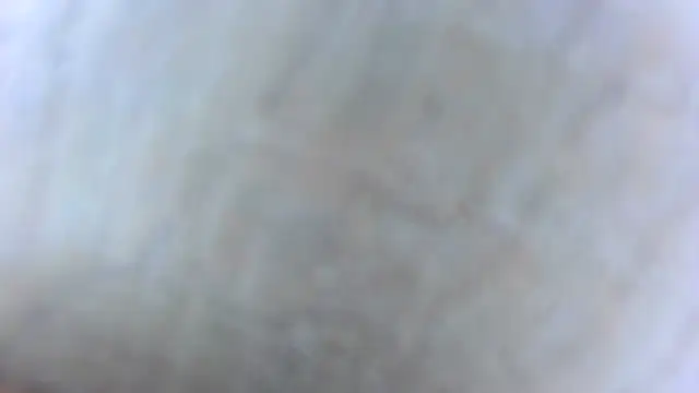 Snapshot of BRONZE20K chatting on 01.23.25 BRONZE20K online show from 01.23.25