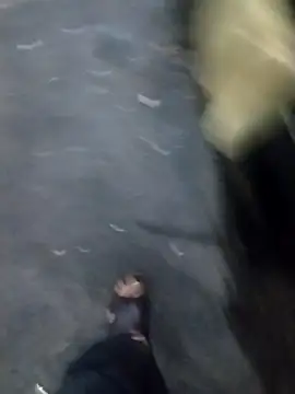 juan56900 online show from 12.16.25