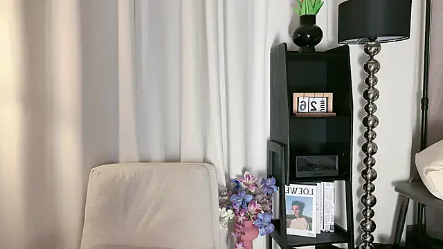 Snapshot of Fairy-HF chatting on 06.27.26 Fairy-HF online show from 06.27.26
