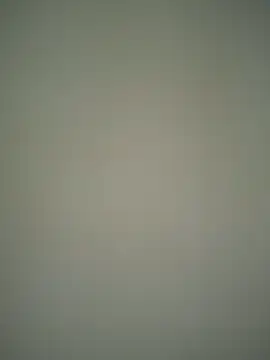 ScarletVelvetX online show from 02.22.26