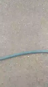 AuntyLover BhabhiLover  online show from 02.07.25