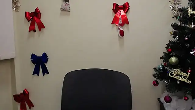 Snapshot of StellaCRL chatting on 12.26.24 StellaCRL online show from 12.26.24