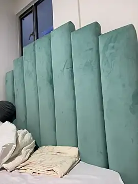 adop me   online show from 01.05.26