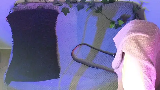 Alahia7demon online show from 02.09.26