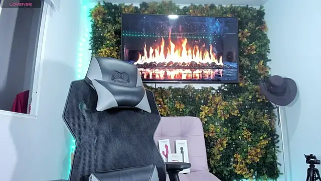 emily palmeer online show from 04.15.26