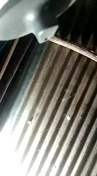 Huebolocko online show from 12.04.24