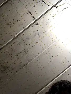 macg96 online show from 12.04.24