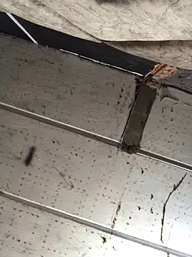 macg96 online show from 12.17.24