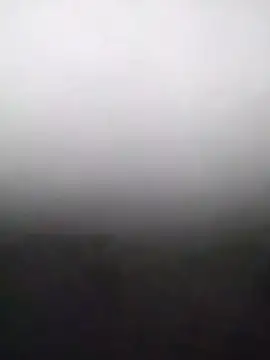 heartless  95 online show from 02.15.26