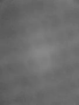 anusavous online show from 10.07.25